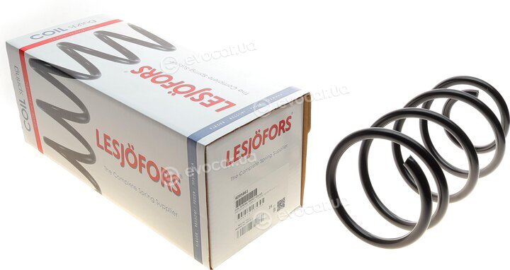 Lesjofors 4095861