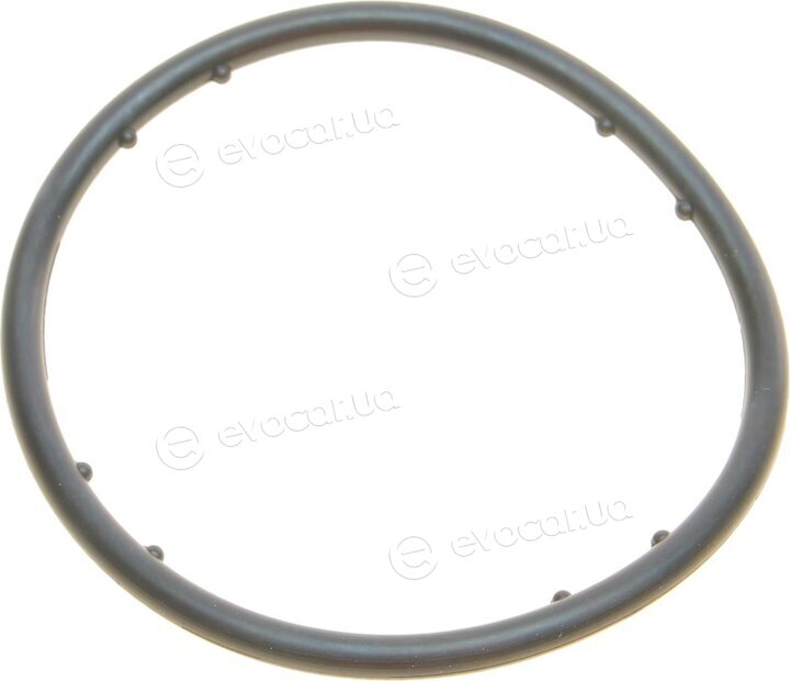 Dayco KTBWP2964