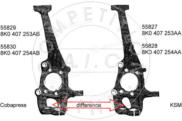 AIC 55829