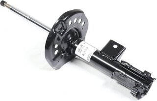 Sachs 316 876