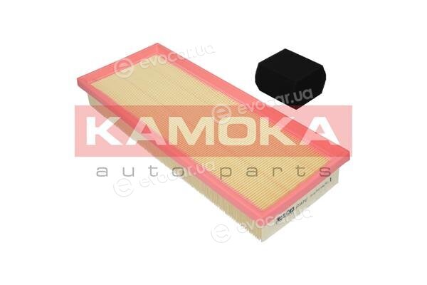 Kamoka F239701