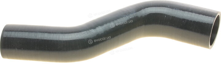 Solgy 114226