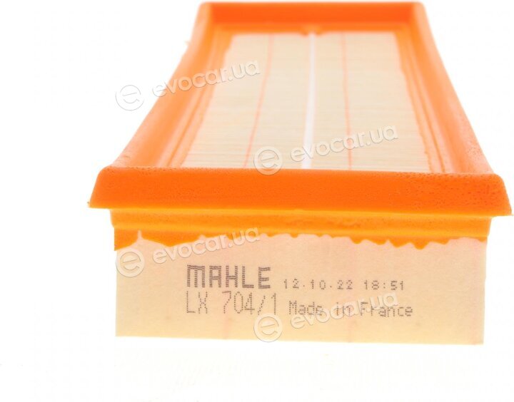 Mahle LX 704/1