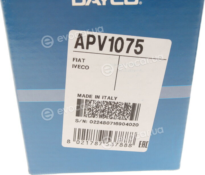 Dayco APV1075