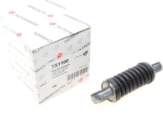 Hutchinson TS1100