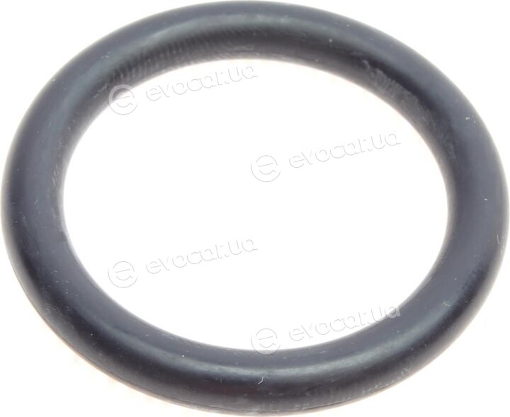 Elring 470.650