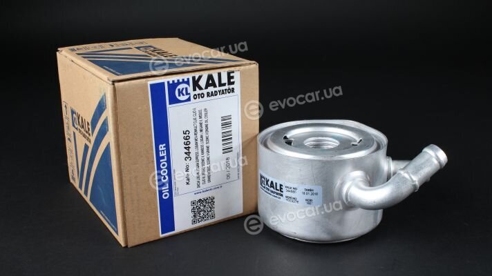 Kale 344665