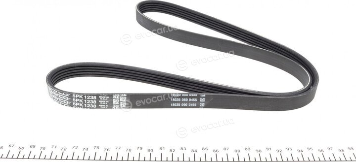 Dayco 5PK1238