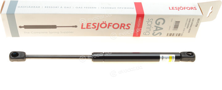 Lesjofors 8075704