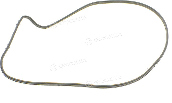 Hepu P1513