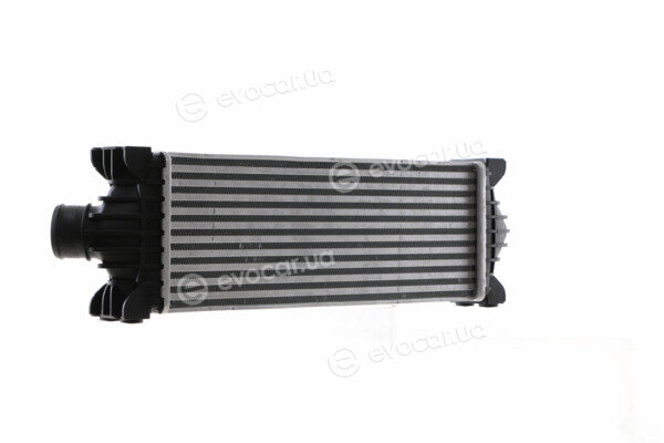 Mahle CI 391 000S