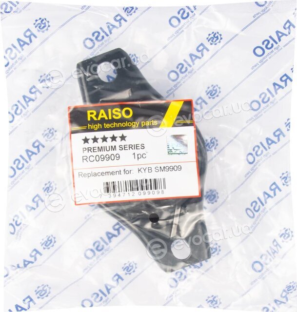 Raiso RC09909