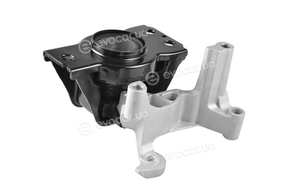 Tedgum TED58330