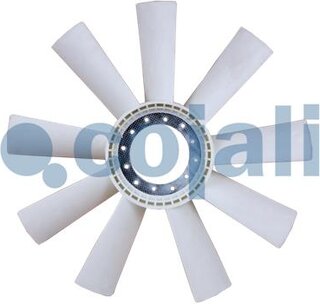 Cojali 7037106