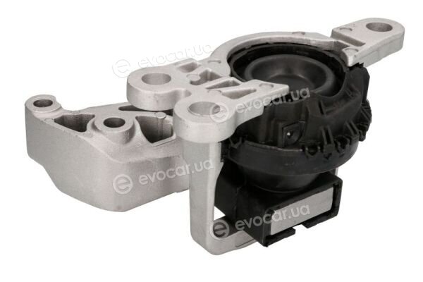 Reinhoch RH11-2183