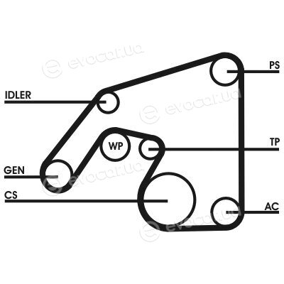 Continental 6PK2390D1