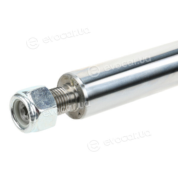 Ridex 854S1166