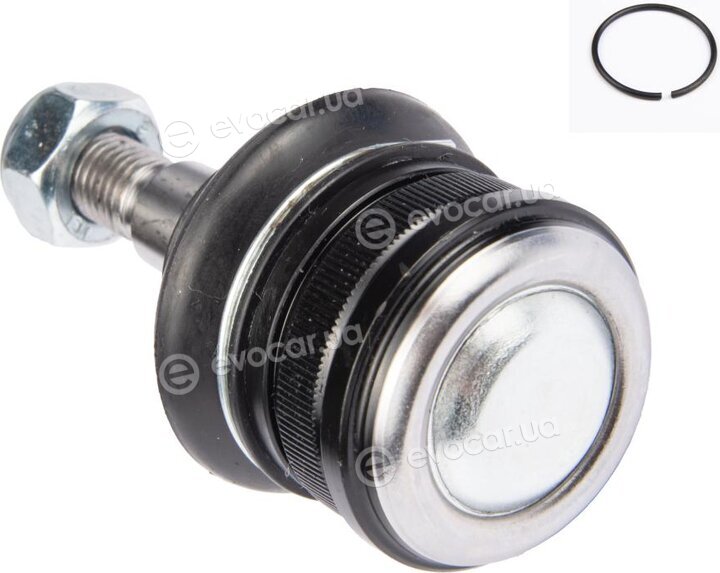 Raiso RL440644F