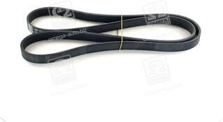 SKF VKMV 6PK1660