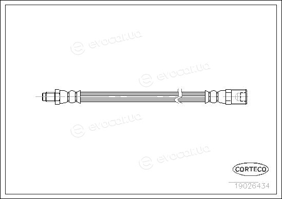 Corteco 19026434