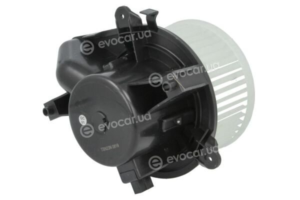 Thermotec DDF011TT