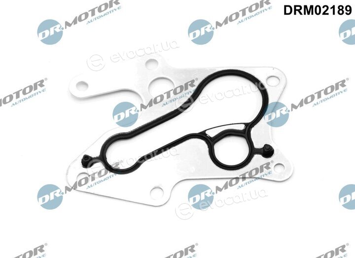 Dr. Motor DRM02189