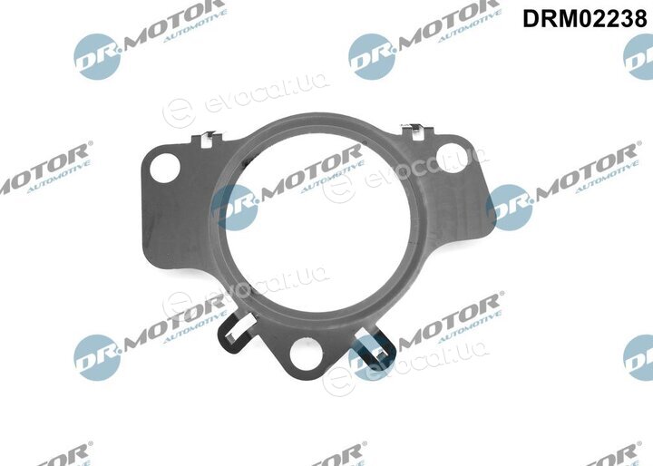 Dr. Motor DRM02238
