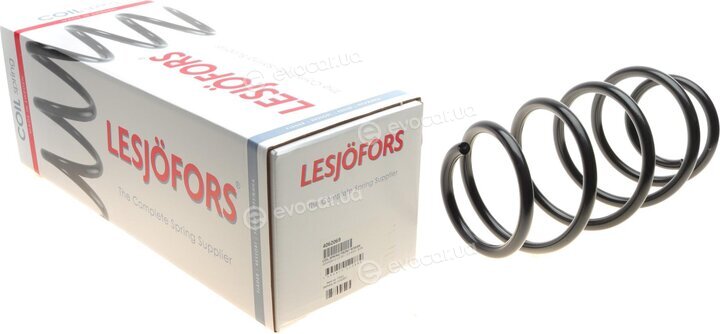 Lesjofors 4062069