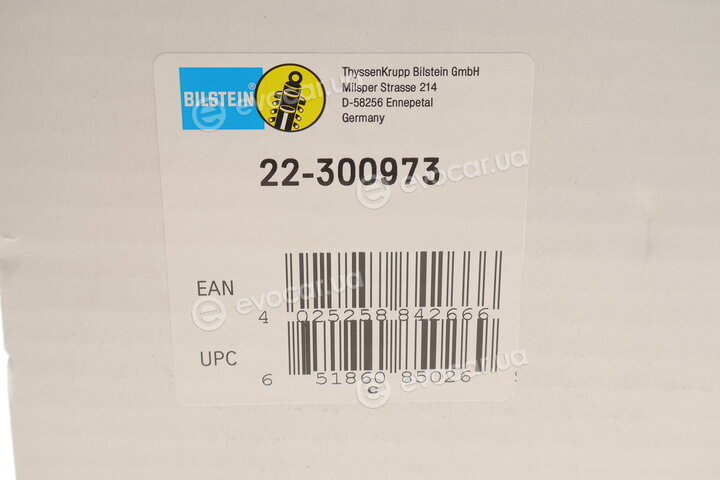 Bilstein 22-300973