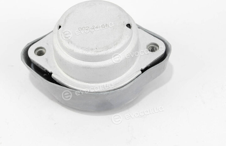 Goodrem RR0305