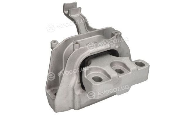 Reinhoch RH11-0177