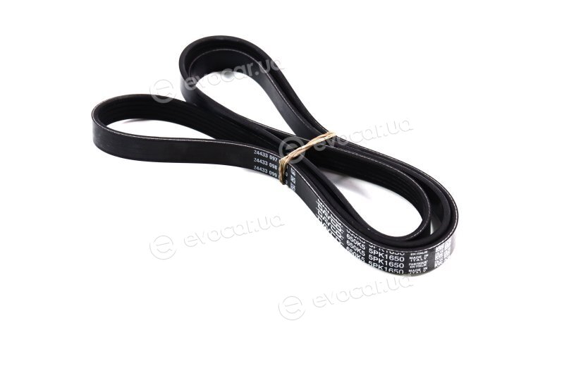 Dayco 5PK1650