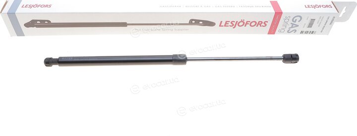 Lesjofors 8195056