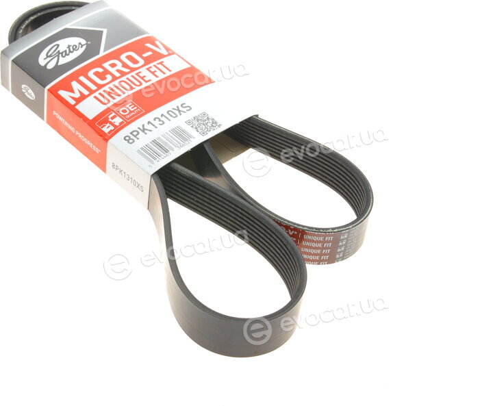 Gates 8PK1310XS