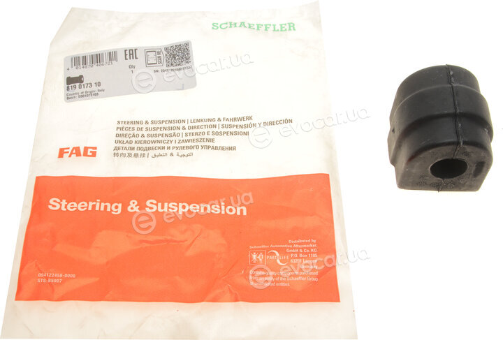 FAG 819 0173 10