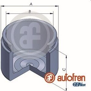 Autofren D025325
