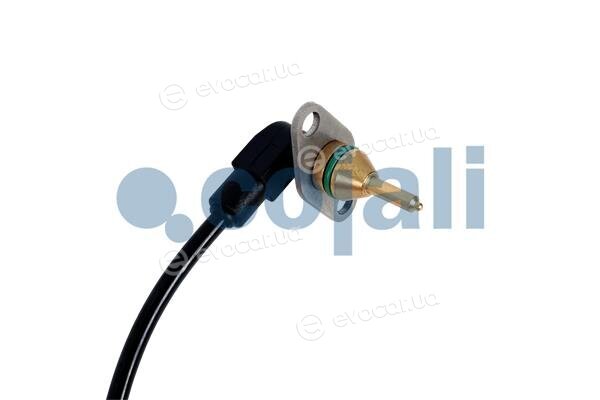 Cojali 2260940