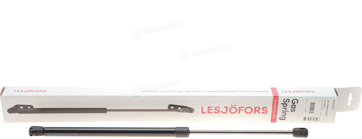 Lesjofors 8137237