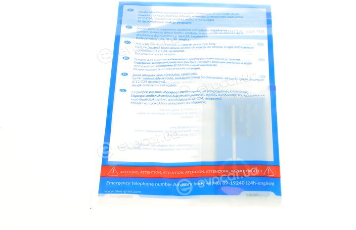Blue Print ADW193071