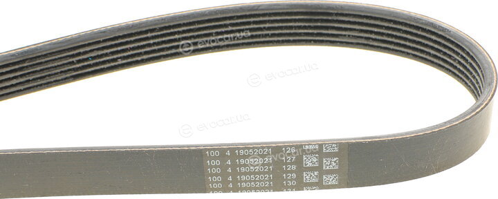 Continental 6PK1495