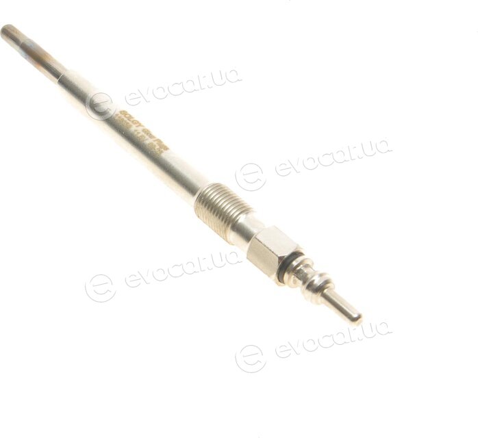 Solgy 116039