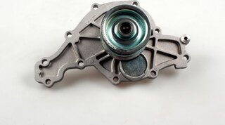 Hepu P584