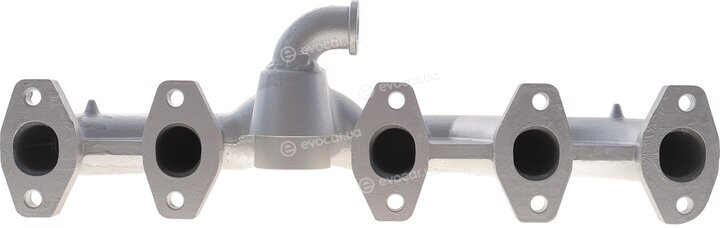 Solgy 115100