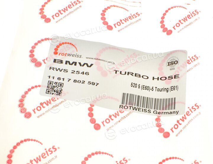 Rotweiss RWS2546