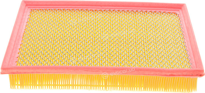 Solgy 103085