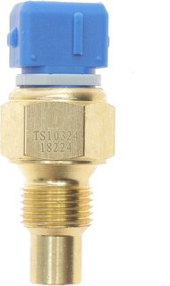 Delphi TS10324