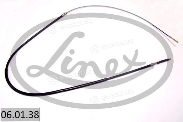 Linex 06.01.38