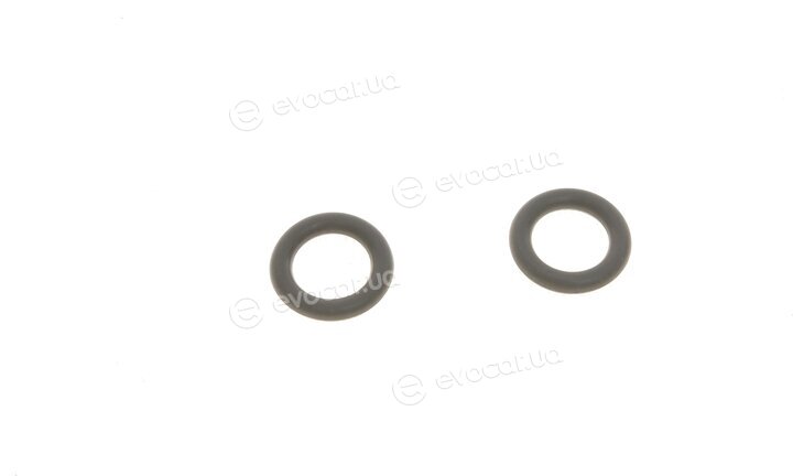 Solgy 112003