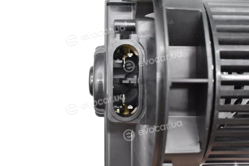Walker / Fonos WBL01355