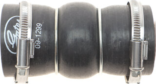Gates 09-1299